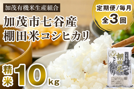 【令和7年産新米先行予約】【定期便3回毎月お届け】新潟県加茂市 七谷産 棚田米コシヒカリ 精米10kg（5kg×2） 《10月中旬から順次出荷》 白米 加茂有機米生産組合 定期便 定期購入 定期 新潟県産コシヒカリ 米 お米