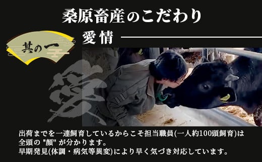 桑原畜産のこだわり　愛情