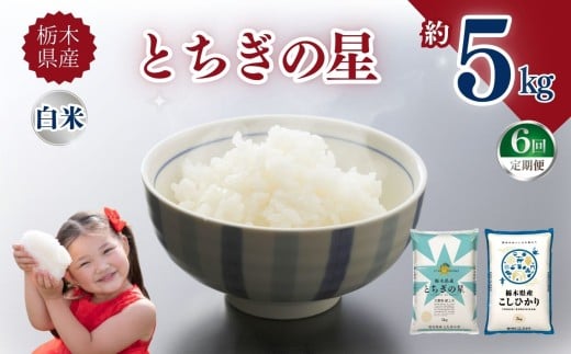 【定期便6回】栃木県産とちぎの星 5kg | お米 米 こめ ご飯 美味しい ふるさと 栃木県 矢板市 【栃木県共通返礼品】 ブランド米
