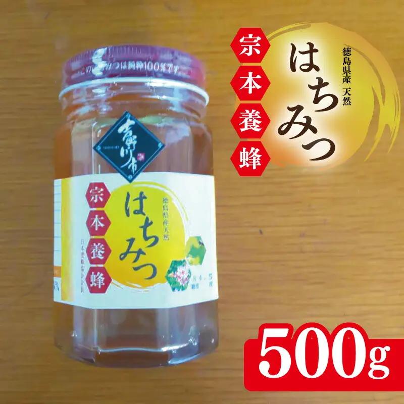 はちみつ 天然 500g はちみつ 蜂蜜