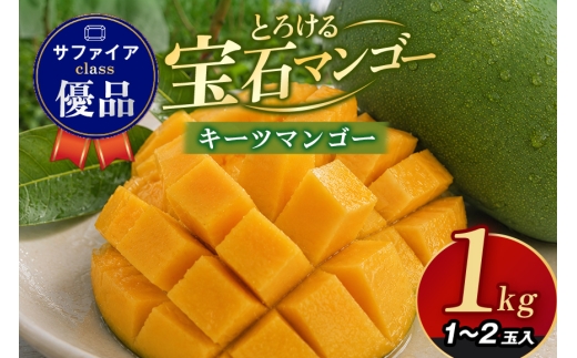 ぼうけんの国 宝石マンゴー 【優品】キーツマンゴー サファイアclass 約1kg 国産 キーツ マンゴー 優品 果物 南国 くだもの フルーツ 完熟 夏 旬 特産品 取り寄せ 産地直送 農家直送 甘い 濃厚 沖縄 うるま市 ku01-012
