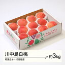【ふるさと納税】もも 桃 川中島白桃 特選品 約3kg(6~12個程度) 山形県産 tf-moknt3※沖縄・離島への配送不可