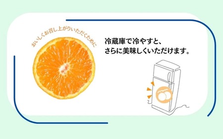 先行予約！山口農園の甘いハウスみかん（3㎏） | みかん