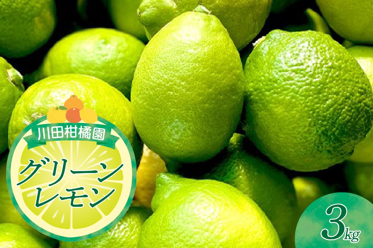 
            【2025年10月下旬～発送】川田柑橘園 広島県産 「グリーンレモン」3kg ku055-006-25
          