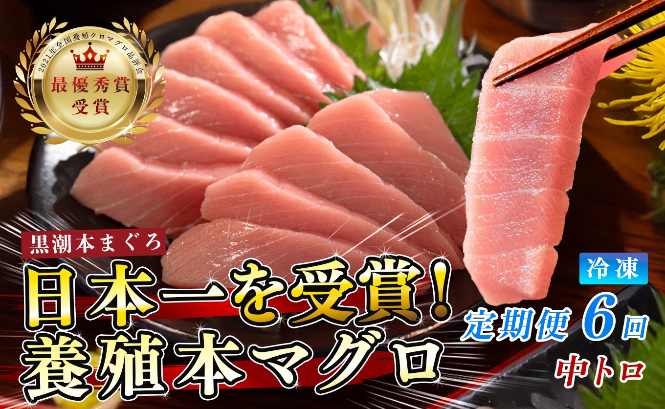 
                  訳あり 不定貫 定期便 6回 国産 養殖本マグロ 中トロ 毎回120g×6回 黒潮本まぐろ 全国養殖クロマグロ品評会 最優秀賞受賞 6ヶ月 6か月 半年 柵 刺身用 本マグロ クロマグロ 本鮪 まぐろ 鮪 お刺身 さしみ トロ 海鮮丼 漬け丼 手巻き寿司 鉄火丼 まぐろ丼 小分け 個包装 真空パック 冷凍 不揃い 家庭用 海鮮 年末年始 高知県 大月町 4万円
                
