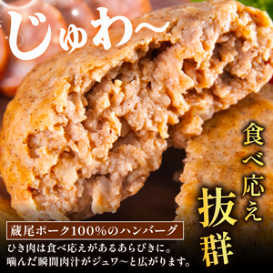 蔵尾ポーク　ハンバーグ5個セット【冷凍配送】 調理済み 温めるだけ 小分け 湯煎 簡単 12月30日～1月9日はお届け不可 