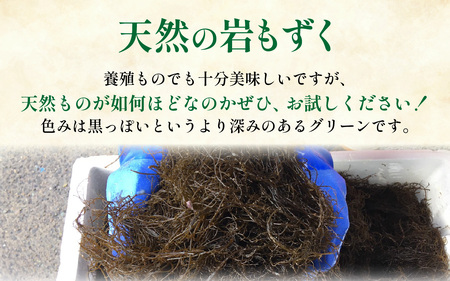 【先行予約】岩もずく0.5kg ※2026年5月下旬ごろ順次発送｜北陸 厳選 もずく [A-018002]