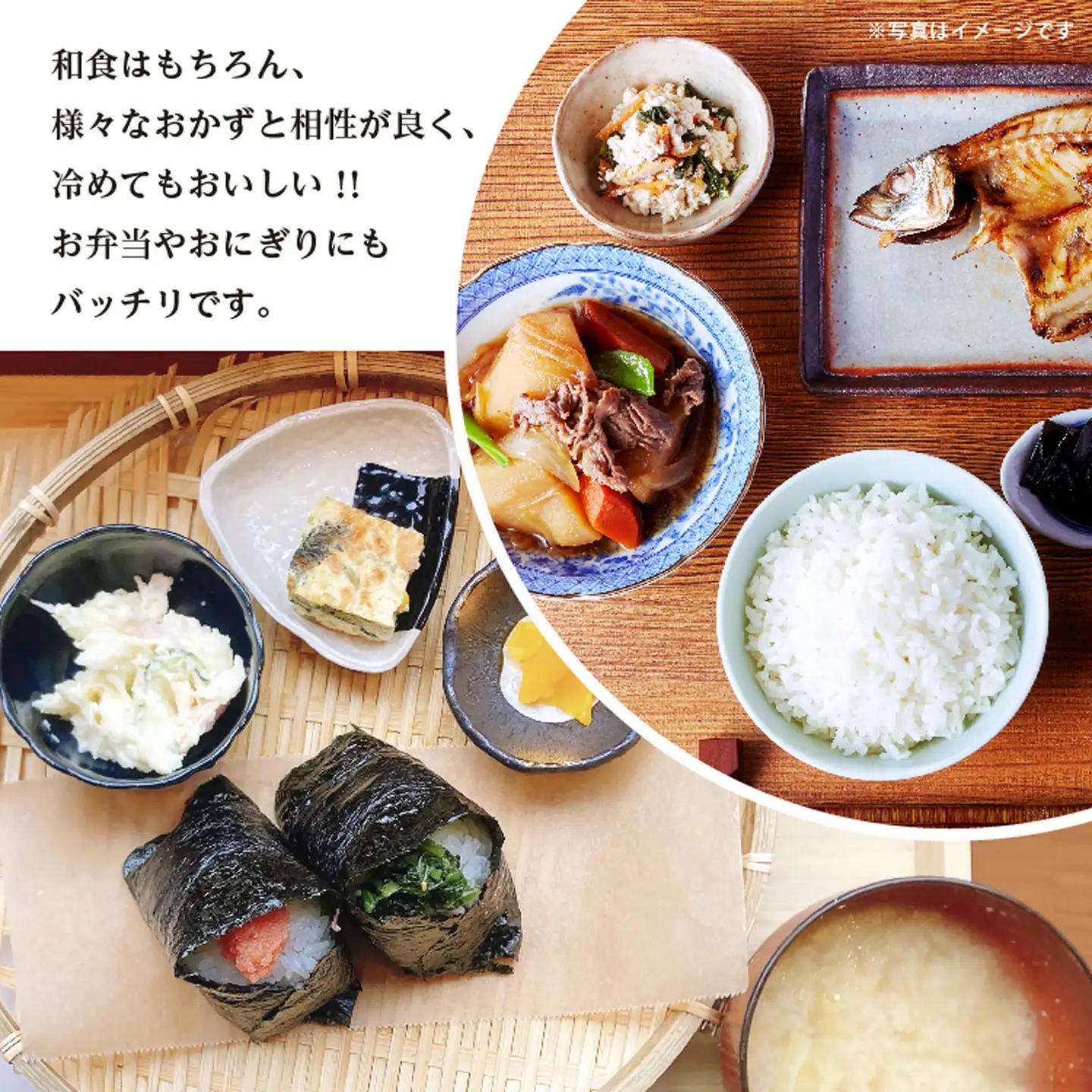 【新米予約】令和8年産 はがくれ農園の棚田米 夢しずく 玄米 10kg 佐賀県産 _c-153