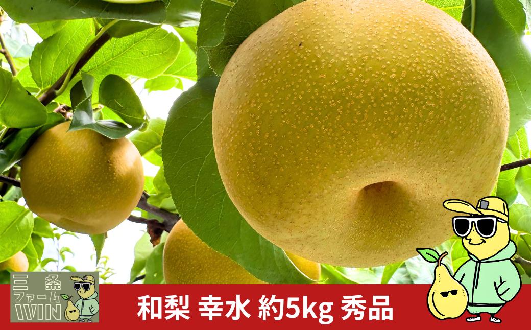
            先行予約 和梨 幸水 約5kg 秀品 令和8年度 冷蔵 新潟フルーツ 新潟県産 梨 [三条ファームWIN] 【018S108】
          