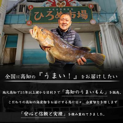 ふるさと納税 高知市 冷凍かつおのたたき　1本セット(約500g　1〜3人前)【CQ014】 |  | 03
