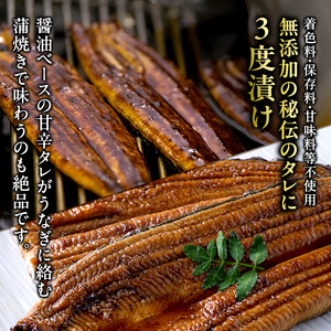 うなぎ 蒲焼 白焼 計10尾 食べ比べ 冷蔵 うなぎ