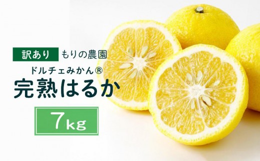 【訳あり】完熟はるか 7kg ドルチェみかん 2027年2月中旬より発送予定