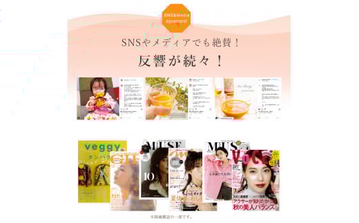  サジージュース 100% 1000ml×1本 | サジー シーベリー 沙棘 グアマラル 健康ドリンク 健康 美容 栄養 果汁 鉄分補給 栄養補給 健康食品  | サジー シーベリー 沙棘 グアマラル