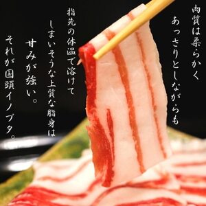 国頭イノブタ バラ(スライス) 500g【配送不可地域：離島】【1580301】