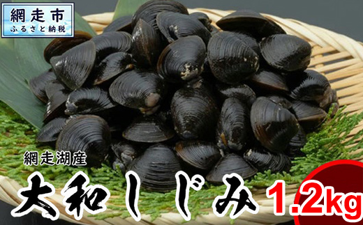 網走湖産 天然大粒 大和しじみ 1.2kg ※着日指定不可 ABX072