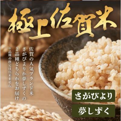 ふるさと納税 鹿島市 令和7年度産 鹿島市産 [さがびよりor夢しずく] 5kg 1袋 【品種指定不可】 玄米 |  | 01