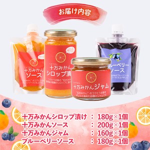 s524 ≪毎月数量限定≫田野農園加工品4種セット(ブルーベリーソース・十万みかん加工品(シロップ漬け・ソース・ジャム)各1個・計4個)【田野農園】