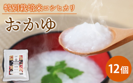 米農家が作ったおかゆ 12個 レトルト食 お粥