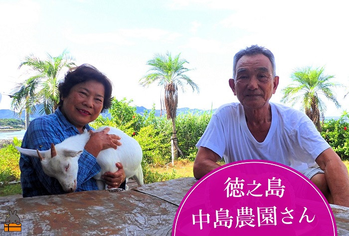 中島農園の中島さんご夫婦が愛情込めて育てた自慢のパッションフルーツです。