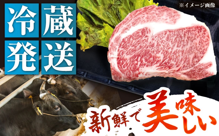 飛騨牛 A5等級 リブロース ステーキ 牛肉 和牛 高級 焼肉  冷蔵 新鮮 贈答 ギフト おすすめ 人気 岐阜県 恵那市