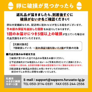 【12か月定期便】永光農園の平飼い有精卵　80個入り