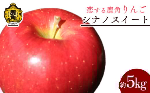《 先行予約 》 令和7年産 秋田県鹿角産りんご「シナノスイート」約 5kg【恋する鹿角カンパニー】●2025年10月中旬発送開始 かづの りんご 食感 果汁 さっぱり リンゴ 完熟 旬 県産りんご お中元 お歳暮 贈り物 お見舞い グルメ ギフト 故郷 秋田 あきた 鹿角市 鹿角 送料無料