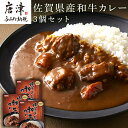 【ふるさと納税】佐賀県産和牛カレー 3個セット(180g×3個)「創業明治15年宮島醤油の佐賀ギフト」 「2024年 令和6年」