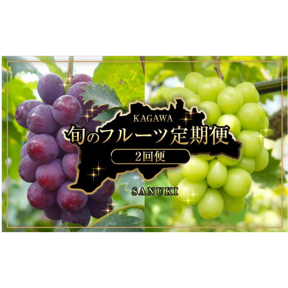 【ふるさと納税】【定期便全2回】旬のフルーツ定期便 (ニューピオーネ シャインマスカット)【葡萄 ぶどう 旬 人気 フルーツ 果物 くだもの 香川県】