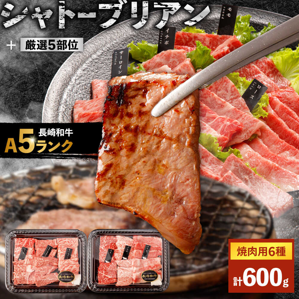 【ふるさと納税】【お中元対応可】〈シャトーブリアン入り〉希少部位 焼肉 6種食べ比べセット 600g(各100g) / シャトー サーロイン カルビ モモ ロースザブトン ミスジ トモサンカク イチボ ランプ 牛肉 和牛 a5 焼肉 やきにく セット / 諫早市 / 野中精肉店[AHCW146]