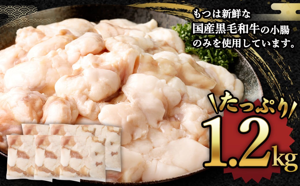 国産牛 もつ鍋 12人前 ちゃんぽん 濃縮スープ付 （みそ味） 冷凍 国産 もつ もつ鍋セット