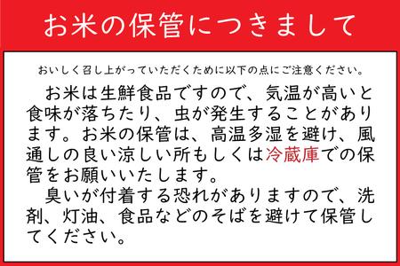 【新米】令和7年産 銀河のしずく 10kg (精米) 低農薬栽培米 生産者直送 生産地域限定ブランド米 (EI013)