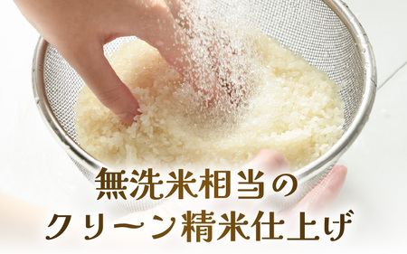 【先行予約】【令和8年産 新米】ワルツ農場のコシヒカリ クリーン精米 5kg 特別栽培米【納得の美味しさ】減農薬 有機肥料使用 / お米 ご飯 白米 発送直前 精米 つや 艶 甘味 旨み 北陸 あわら
