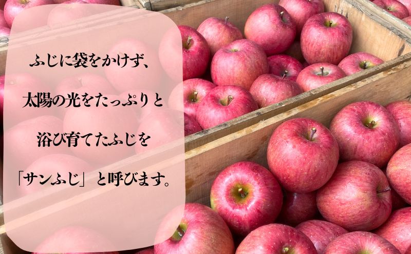 【数量限定】11～12月発送 家庭用サンふじ約5kg【弘前市産・青森りんご】