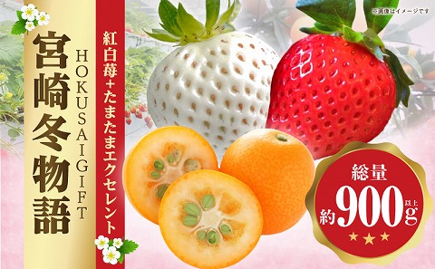 《2026年発送》【数量・期間限定】宮崎冬物語HOKUSAIGIFT紅白苺＋たまたまエクセレント 苺 いちご イチゴ おおきみ苺 おおきみいちご 白イチゴ 白苺 白いちご きんかん キンカン エクセレント 柑橘類 柑橘 果物 くだもの フルーツ ギフト 贈り物 贈答