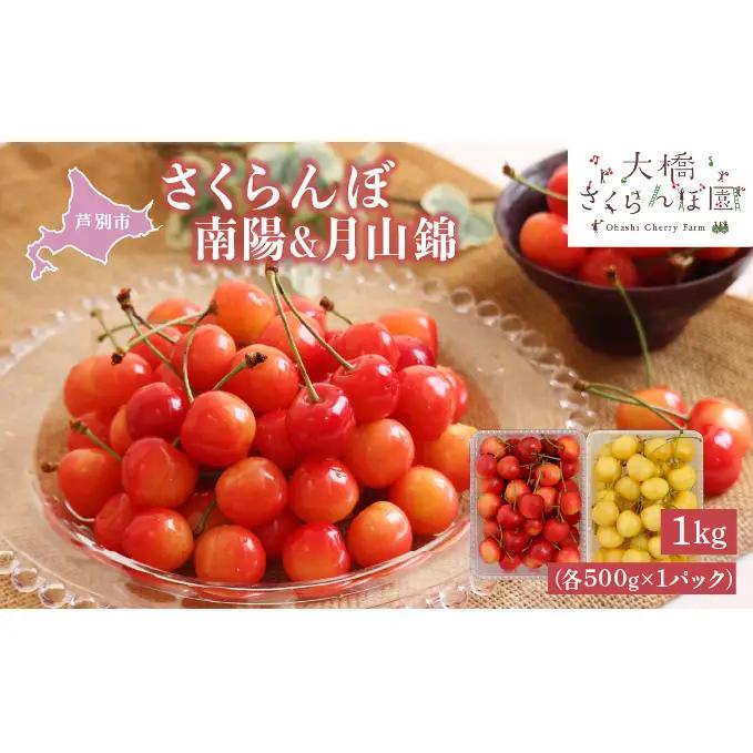 【 先行受付 】さくらんぼ 南陽 月山錦 1kg 各500g×1パック 大橋さくらんぼ園 サクランボ チェリー 果物 果物類 フルーツ デザート 最高級 黄色 大粒 甘い さわやかな酸味 北海道 芦別市 