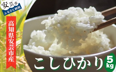 《令和6年産》安芸の豊かな自然の恵みを頂いて育ったお米「こしひかり」5kg