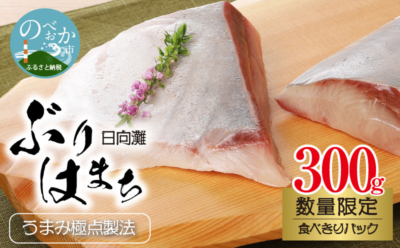 
〈数量限定〉日向灘ぶり　はまち　うまみ極点製法　食べきりパック　300g　N124-ZA3304
