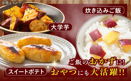 紅はるか（甘太くん）焼き芋 約1.5㎏ /愛まんてん[UBD008]