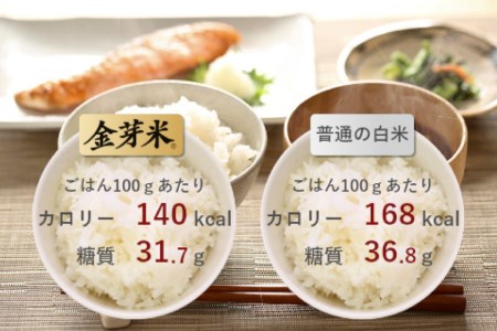 無洗米 金芽米 ひとめぼれ 10kg （ 5kg × 2袋 ） 令和6年度産 宮城県産 [ 宮城県 加美町 ] 米 お米 こめ コメ 精米 白米 玄米 きんめまい km00017-r6-10kg