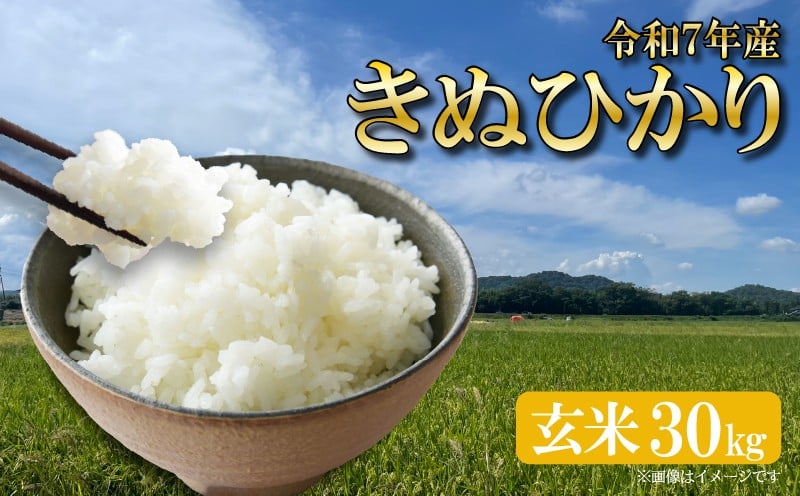 
            新米 きぬひかり 令和7年産 30kg 1袋 玄米 米 キヌヒカリ R7 お米 ご飯 ごはん  ふるさと納税 滋賀県 竜王町 ひさだ農園														
          