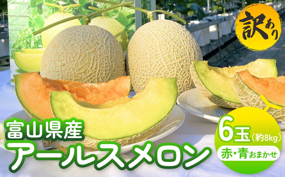 
                  〈先行予約〉【訳あり】 氷見市産 アールスメロン 青赤お任せ 6玉 約8㎏ 【家庭用】 ＜2026年6月下旬以降発送＞
                