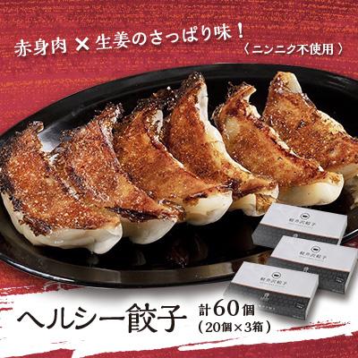 ふるさと納税 御代田町 ヘルシー餃子セット60個(20個×3箱)