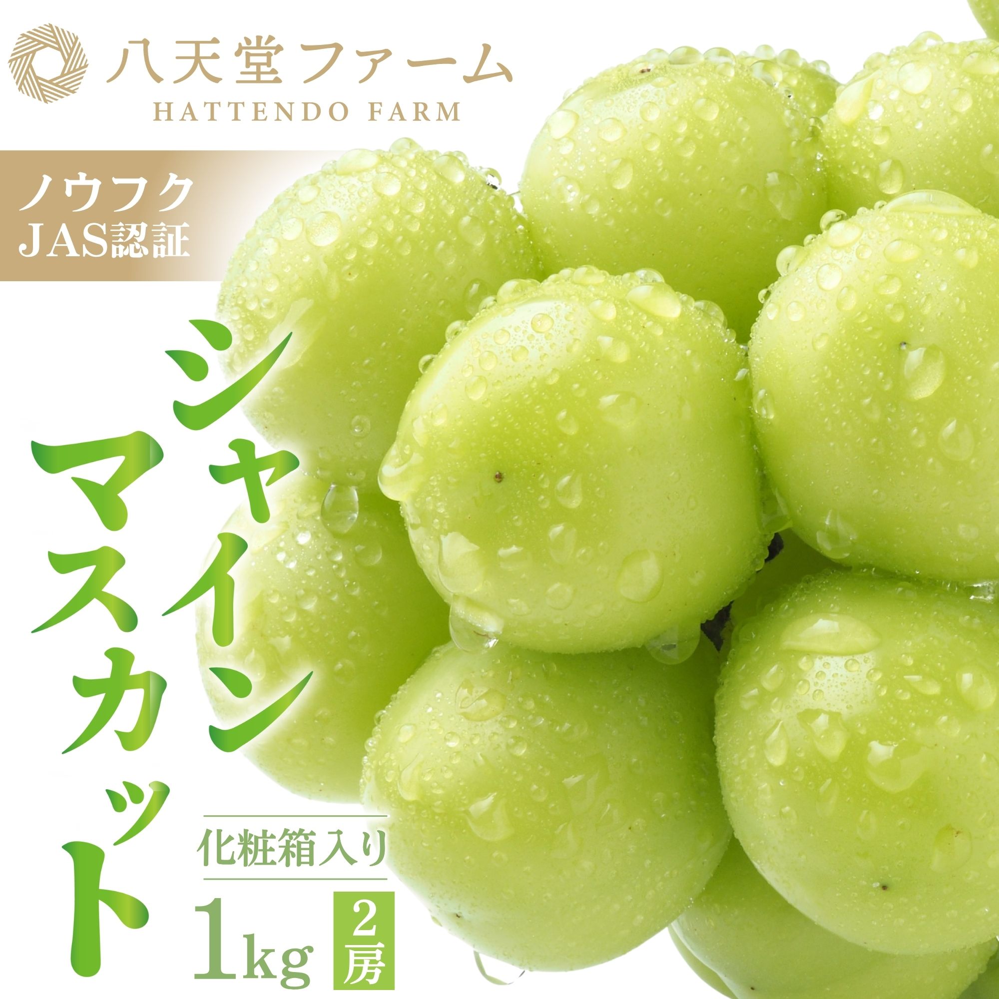 【ふるさと納税】八天堂ぶどう園 シャインマスカット 2房 1kg 化粧箱入り ノウフクJAS認証【ぶどう フルーツ 種無し 種なし 皮ごと 皮剥き不要 果物 高騰度 薄皮 甘い 八天堂 ファーム】※2026年8月中旬頃～9月下旬頃に順次発送予定