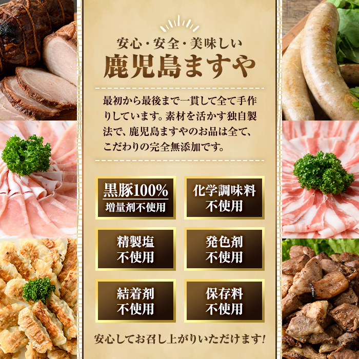 【0075132a】＜おためし＞鹿児島黒豚無添加カレー(計400g・200g×2P) 黒豚 豚肉 ぶた肉 カレー カレーライス かれーらいす 惣菜 【鹿児島ますや】