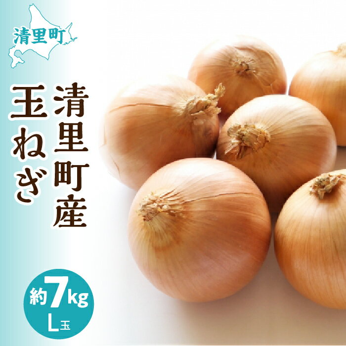 【ふるさと納税】【先行予約】清里産玉ねぎセット＜L玉 7kg＞（2026年10月中旬より順次発送） 【 ふるさと納税 人気 おすすめ ランキング 野菜 玉ねぎ たまねぎ タマネギ 新鮮 北海道 清里町 送料無料 】 KYSB011