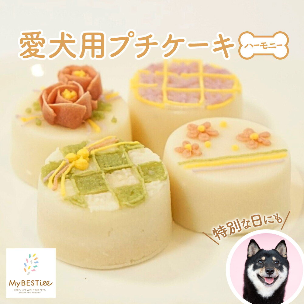 【ふるさと納税】【MyBESTiee】愛犬用 プチケーキ ハーモニー 犬用ケーキ ペットケーキ デコレーションケーキ アート 特別な日 誕生日ケーキ お祝い 可愛い 美味しい 優しい ハッピーケーキ 華やか 大阪市 大阪府 送料無料