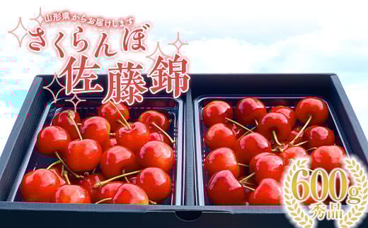 【2025年先行予約】さくらんぼ「佐藤錦」600g 秀品 Lサイズ以上 山形県産 FSY-1202
