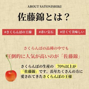 ＜先行予約＞さくらんぼ 佐藤錦 秀品 L 500g 【2026年6月下旬頃発送】 山形県 朝日町産 農産物 フルーツ 山形産 バラ詰め サクランボ 高級 果物 初夏