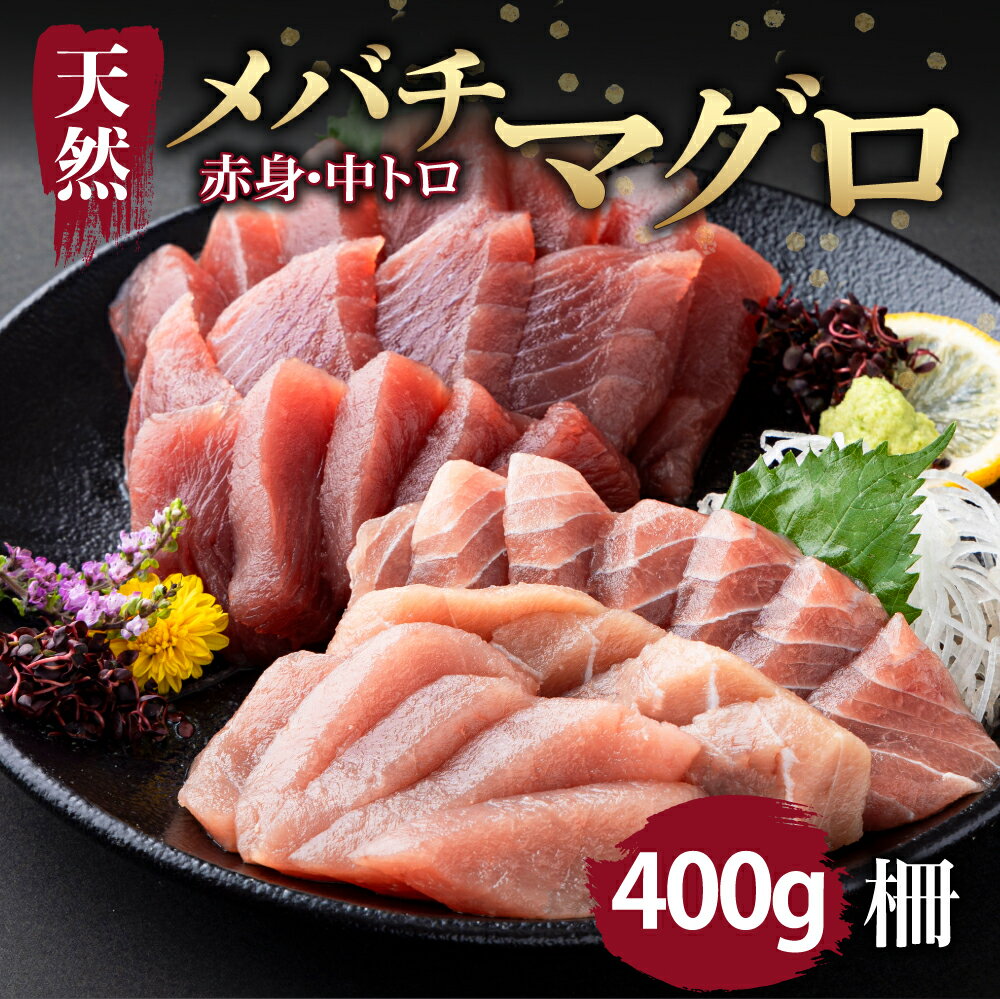 【ふるさと納税】【天然まぐろ】 中トロ・赤身　柵 400gセット(100g×4pc)　サク さく メバチ 目鉢 マグロ 鮪 まぐろ 100% 冷凍 刺身 海鮮 丼 刺し身 小分け 高知 室戸 8000円 tk086