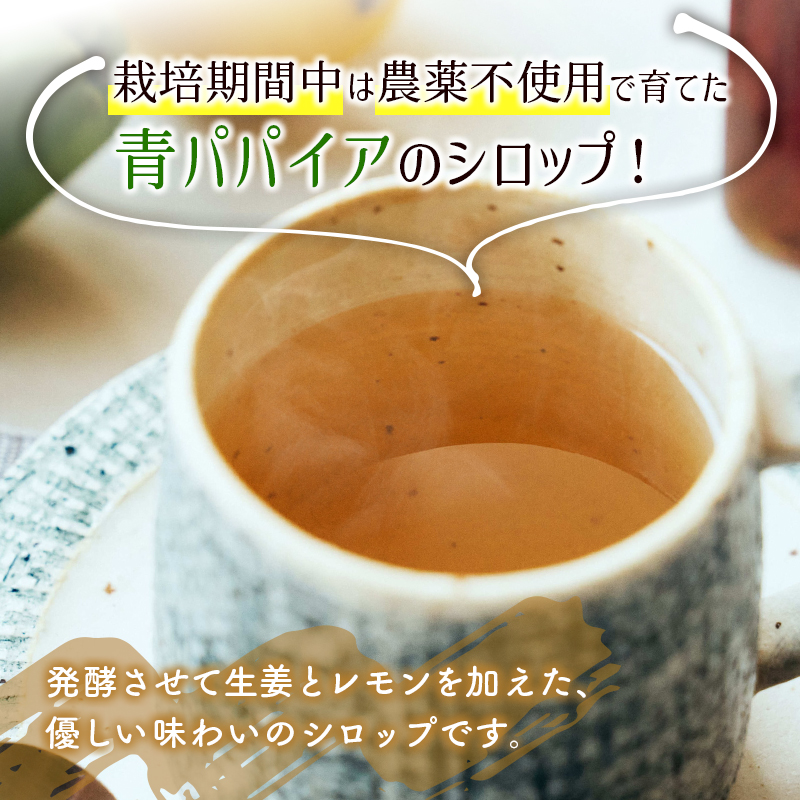 酵素の王様青パパイア酵素シロップ 1000ml サイズ 国産 ヘルシー【B656】